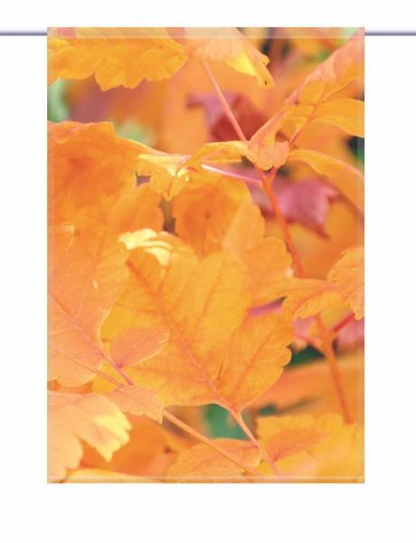 Scheibenhänger orangener Zauber – rechteckig  Gardine bedruckt